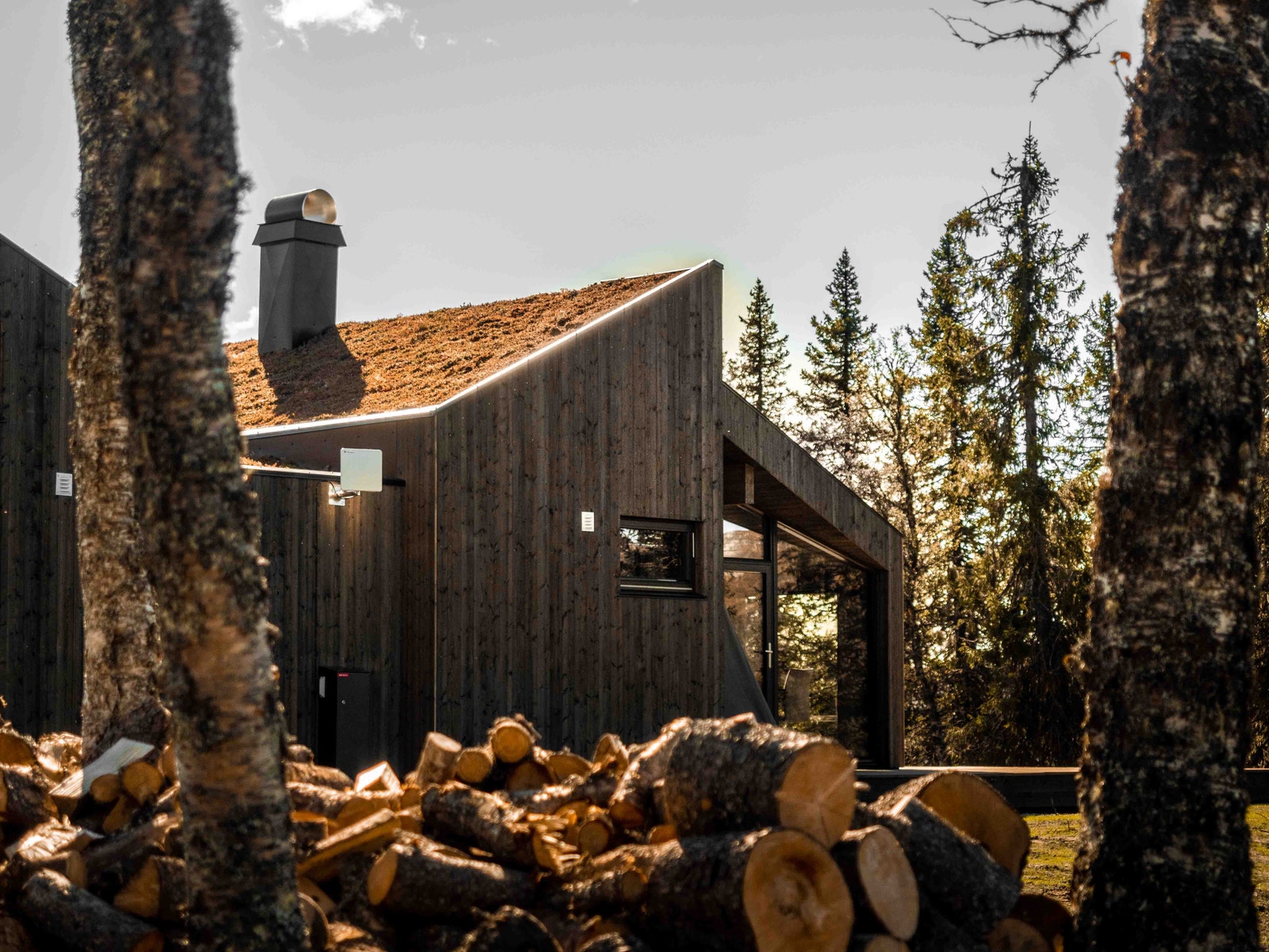 Illustrasjonsbilde Galleribilde