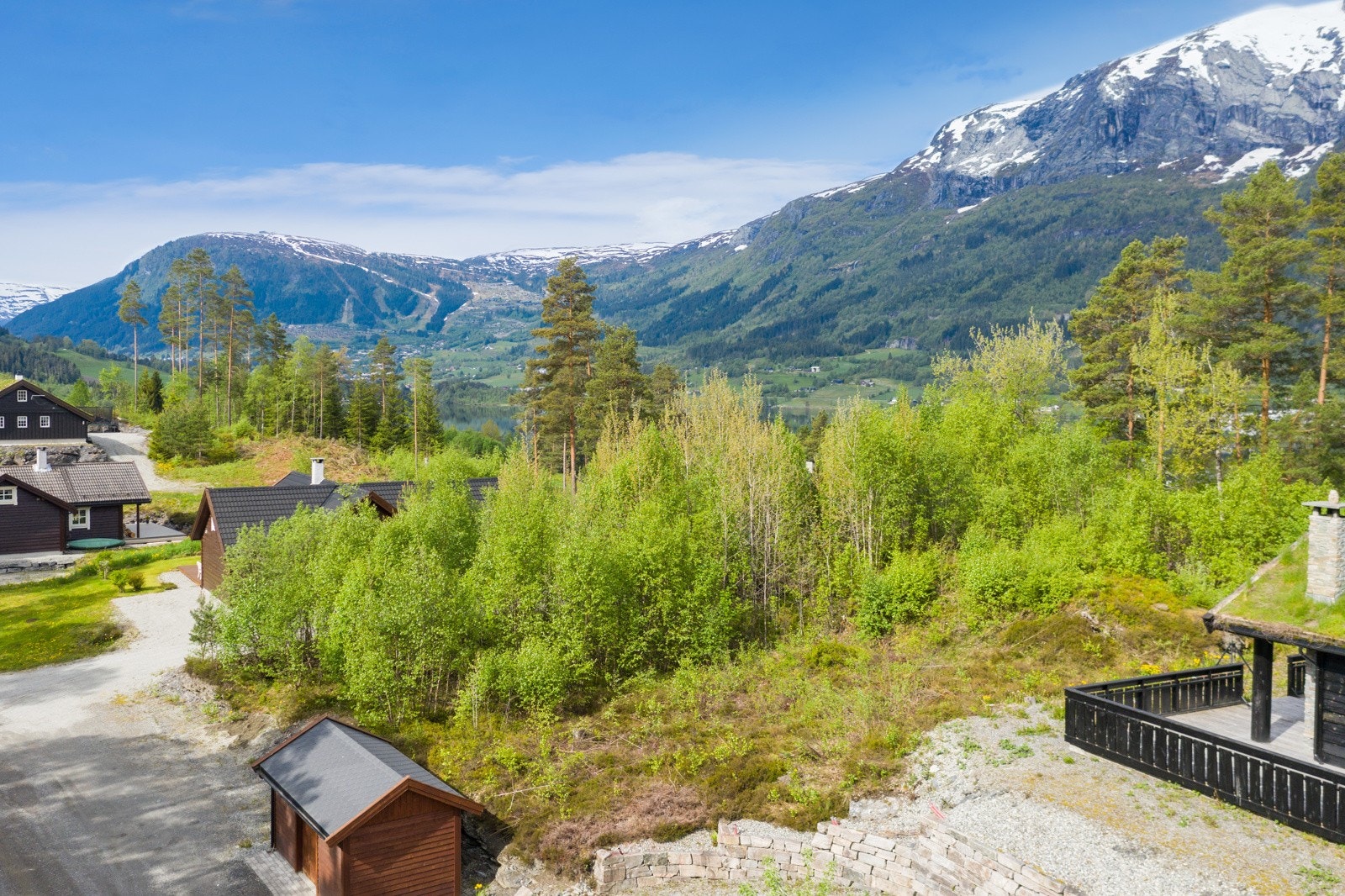 Vakker natur i alle retninger. Galleribilde