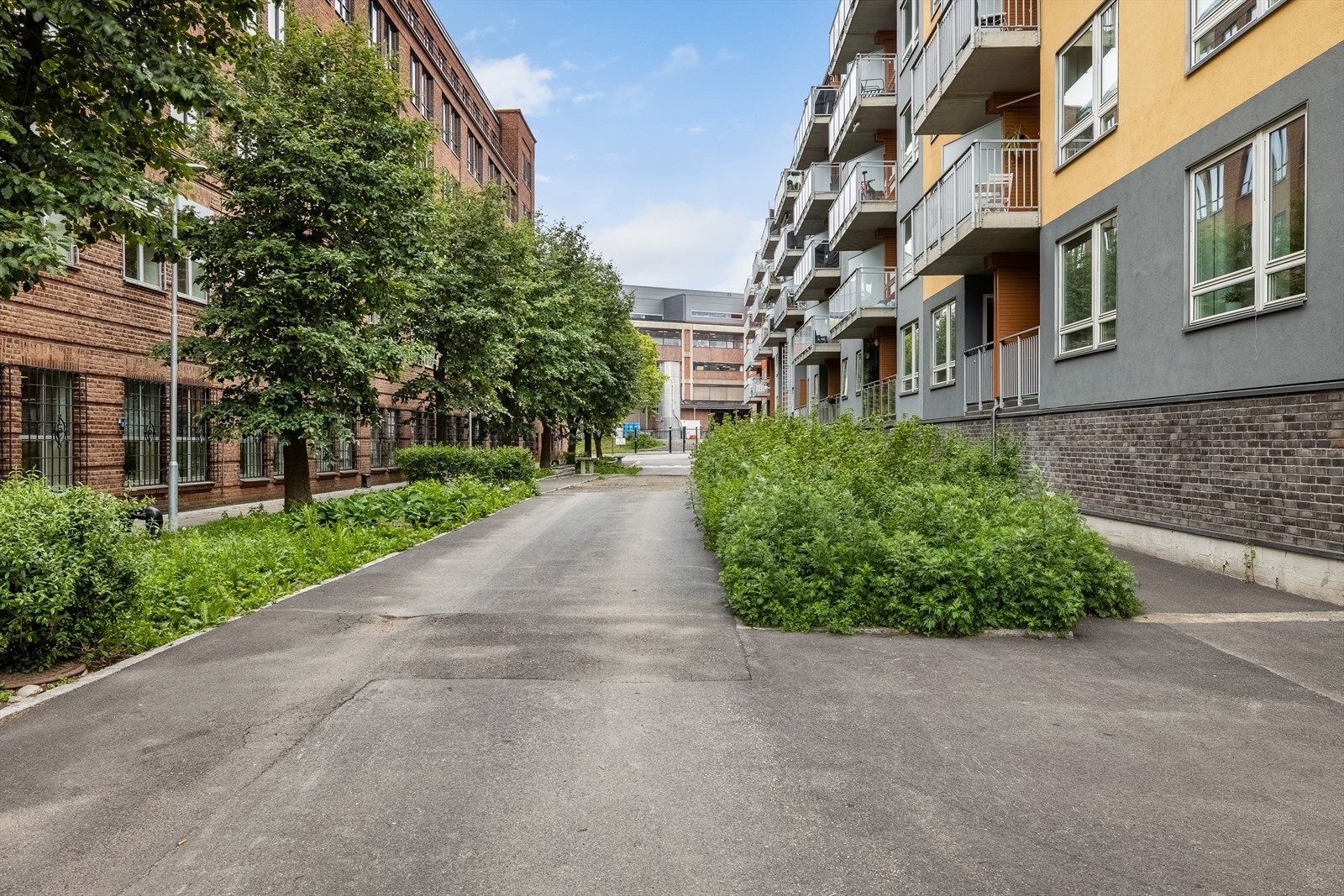 Rolig gate utenfor balkongen og soverommet. Veien går til Freia Sjokoladefabrikk. Galleribilde