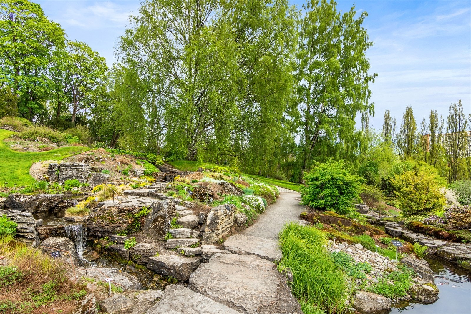 Botanisk Hage Galleribilde