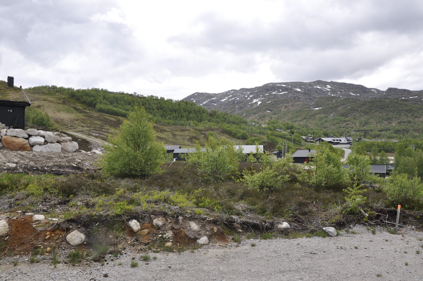 Bilder fra tomten Galleribilde