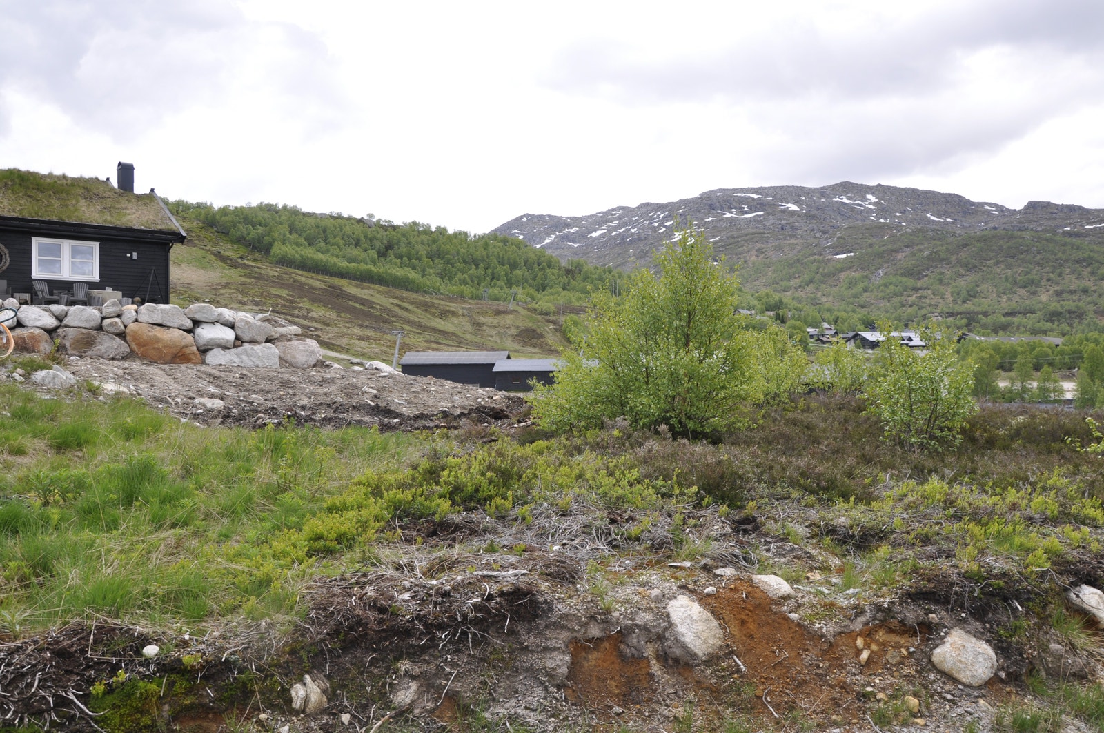 Bilder fra tomten Galleribilde