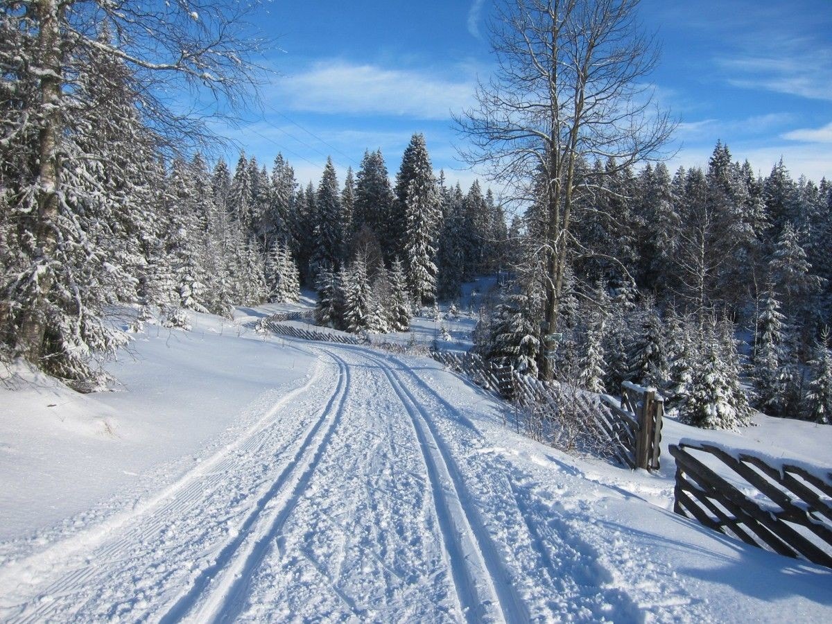 Meget gode muligheter for ski og aktiviteter om vinteren. Galleribilde