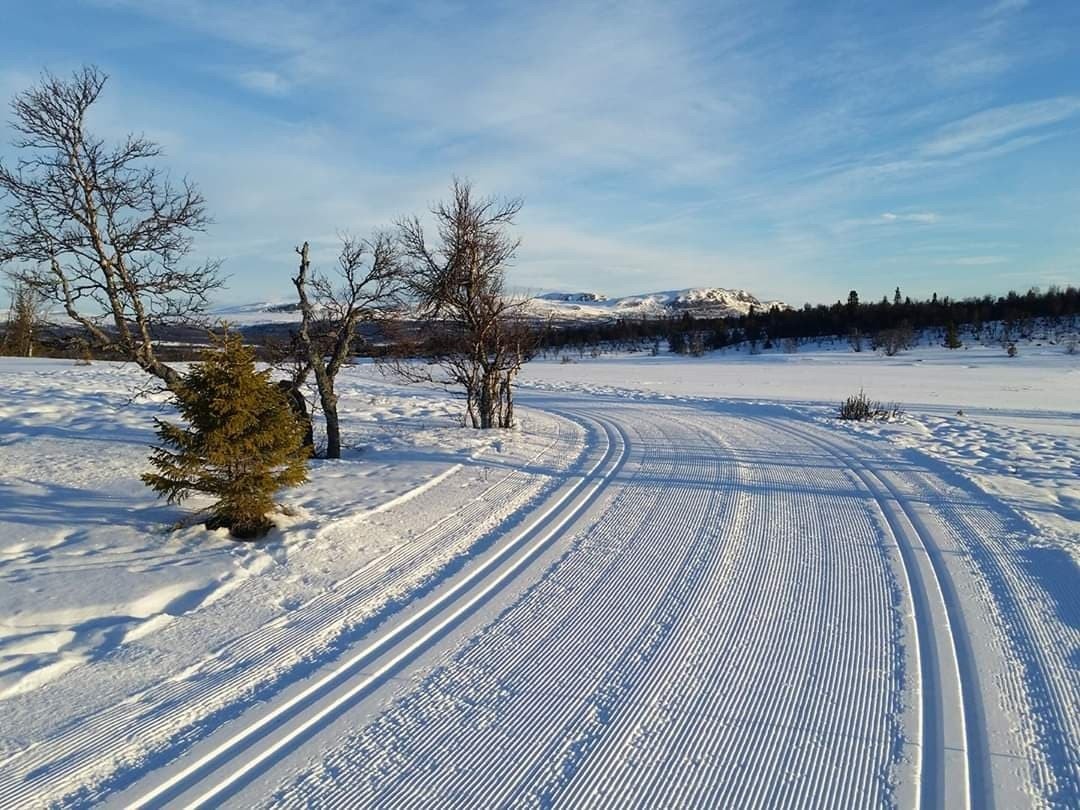 Foto fra området Galleribilde