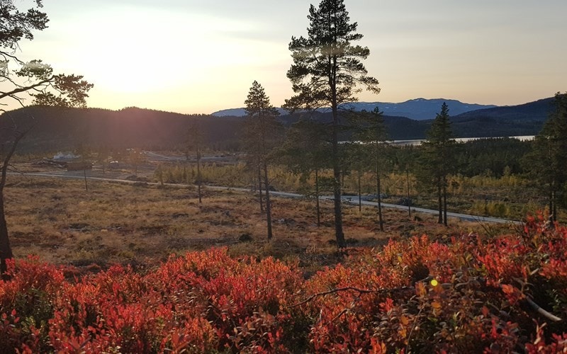 Bilde fra hytteområdet Galleribilde