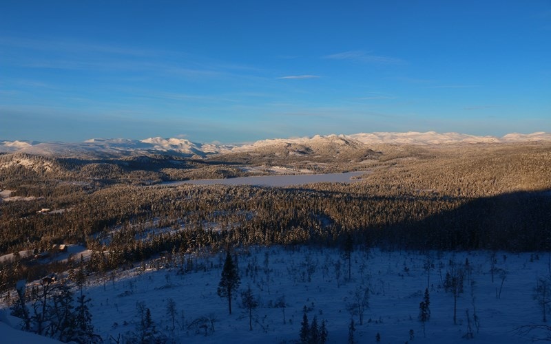 Vinterbilde fra tomteområdet Galleribilde