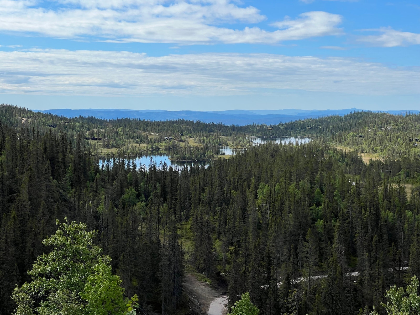 Utsiktsbilder fra tomta Galleribilde