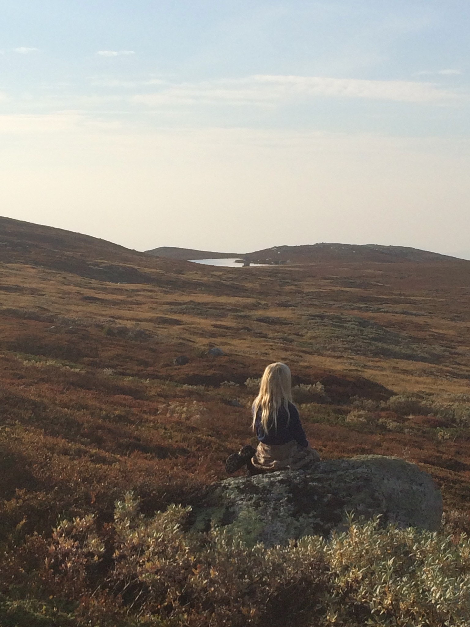 Områdebilder Galleribilde