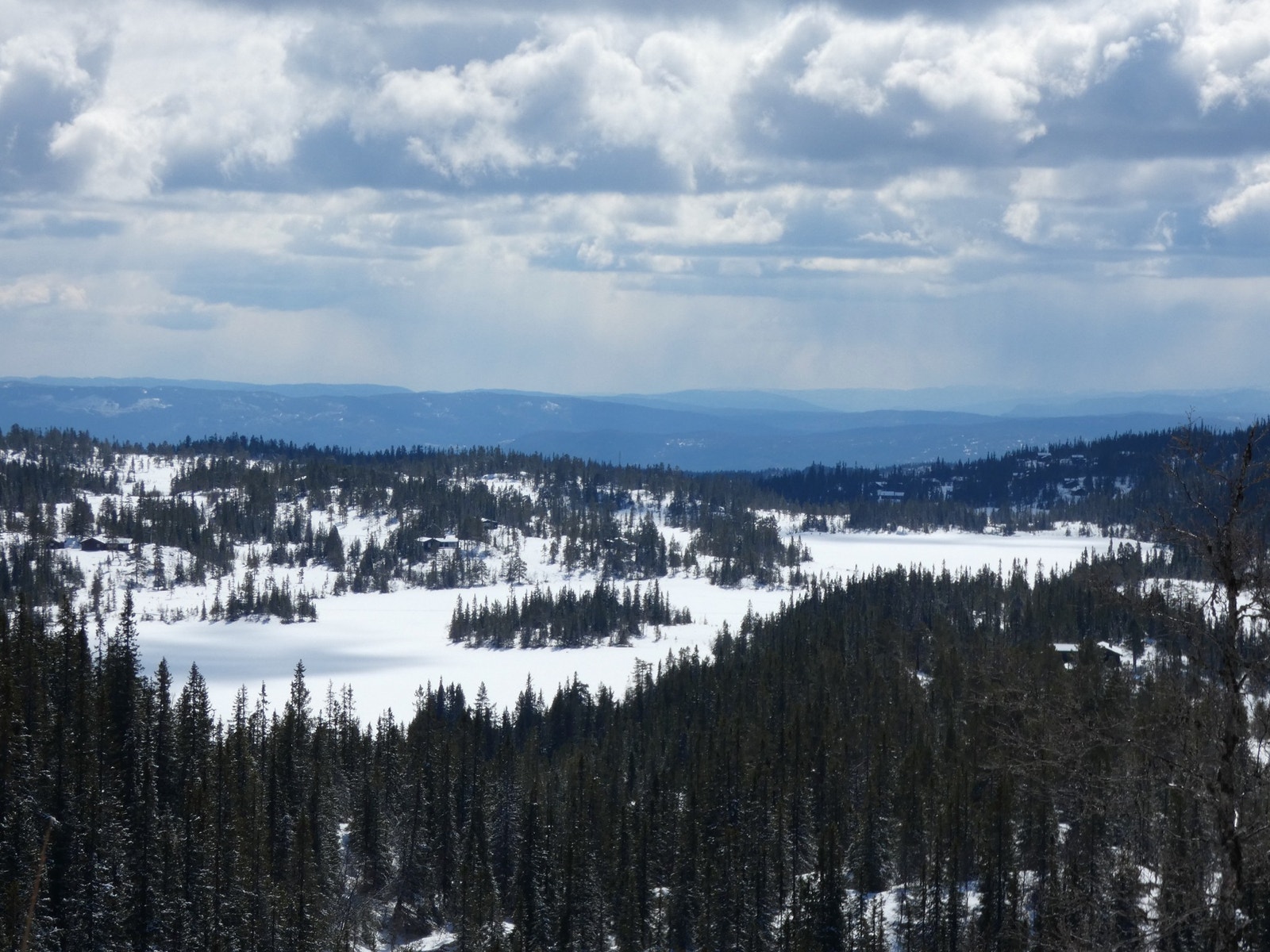 Utsiktsbilder fra tomta Galleribilde