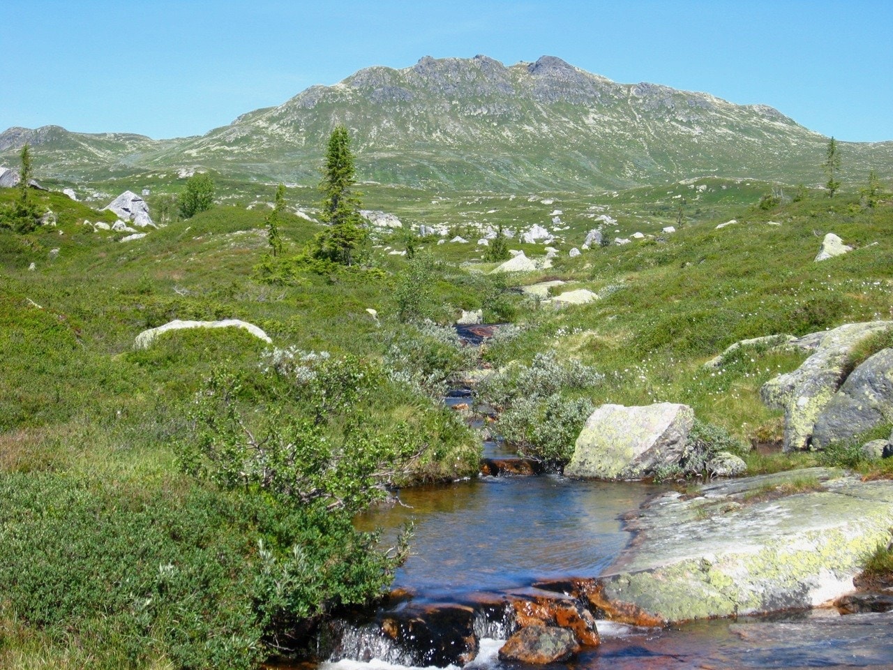 Områdebilder Galleribilde