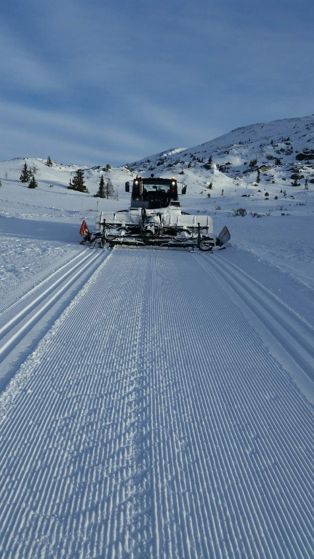 Områdebilder Galleribilde