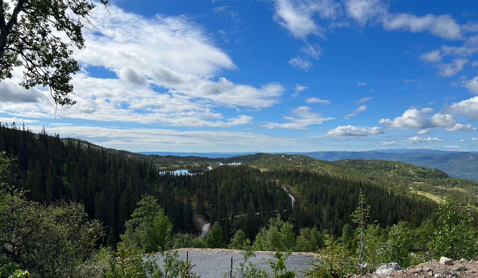 Utsiktsbilder fra tomta Galleribilde