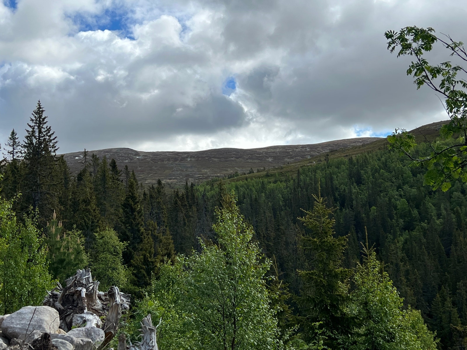 Utsiktsbilder fra tomta Galleribilde