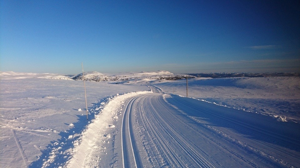 Områdebilder Galleribilde