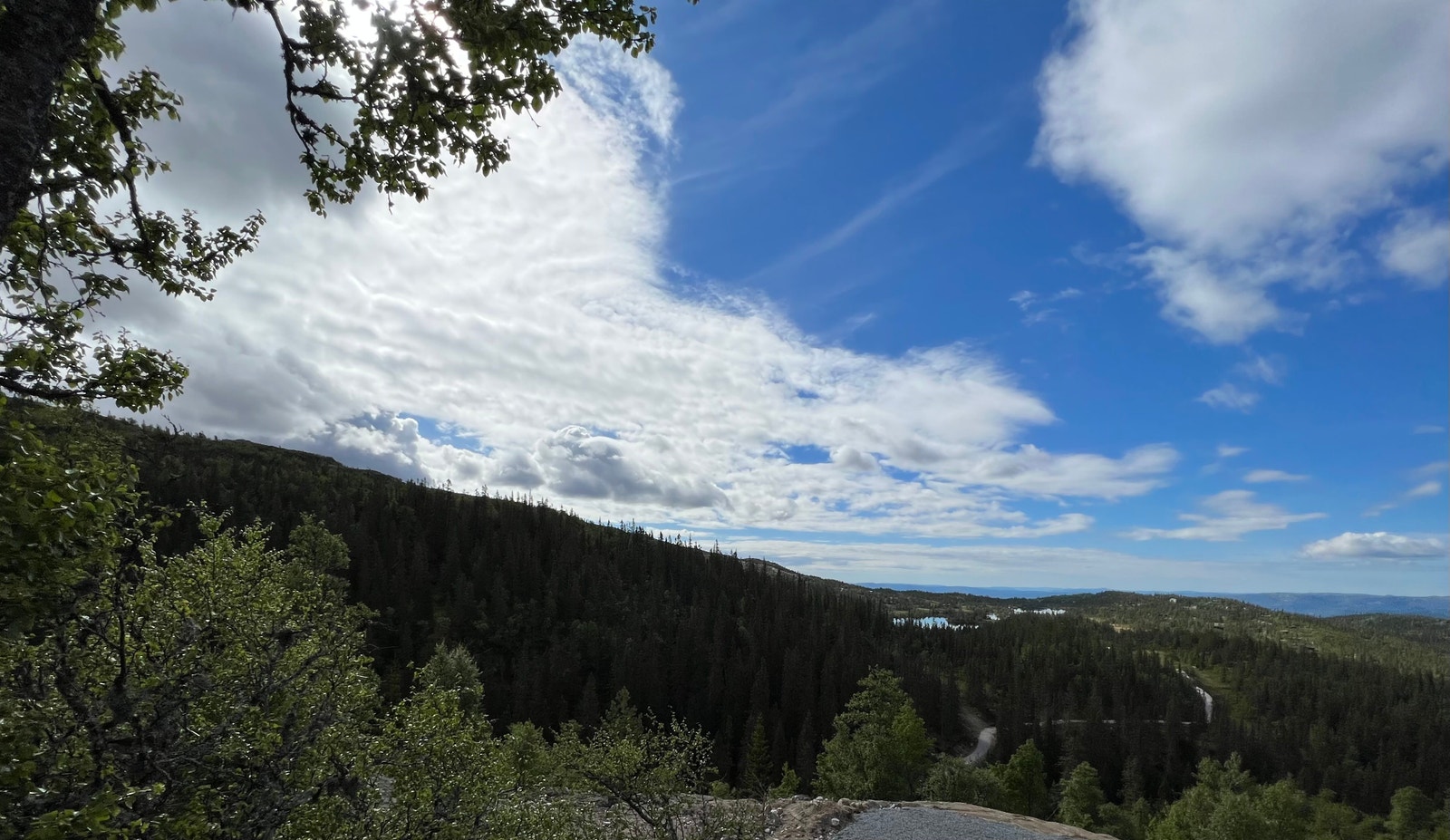 Utsiktsbilder fra tomta Galleribilde