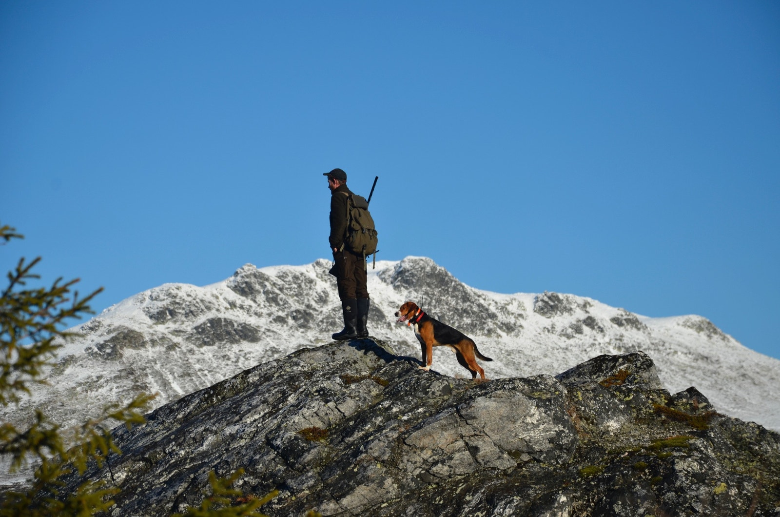Områdebilder Galleribilde