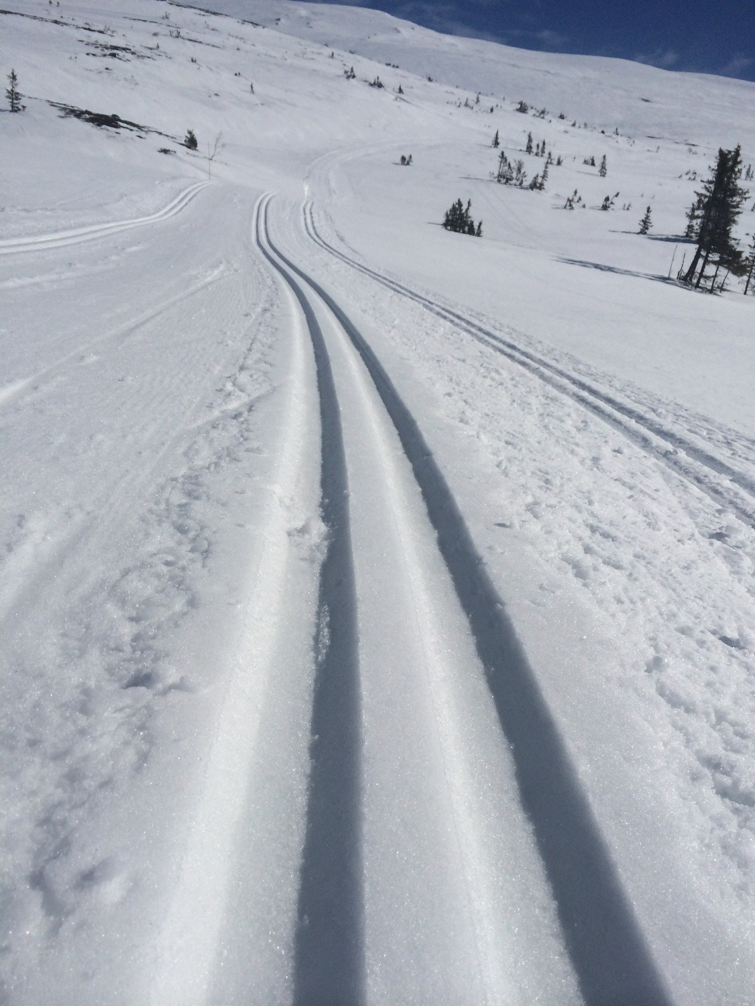 Områdebilder Galleribilde