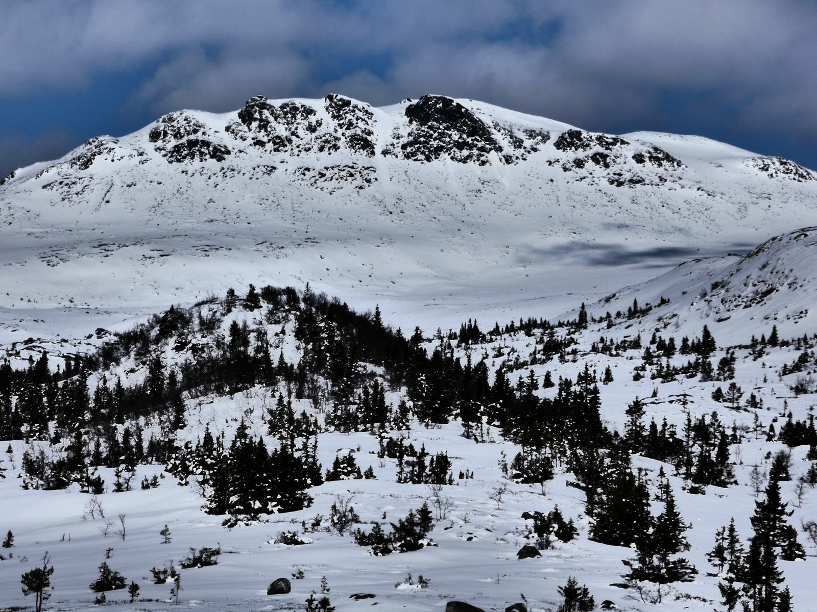 Områdebilder Galleribilde