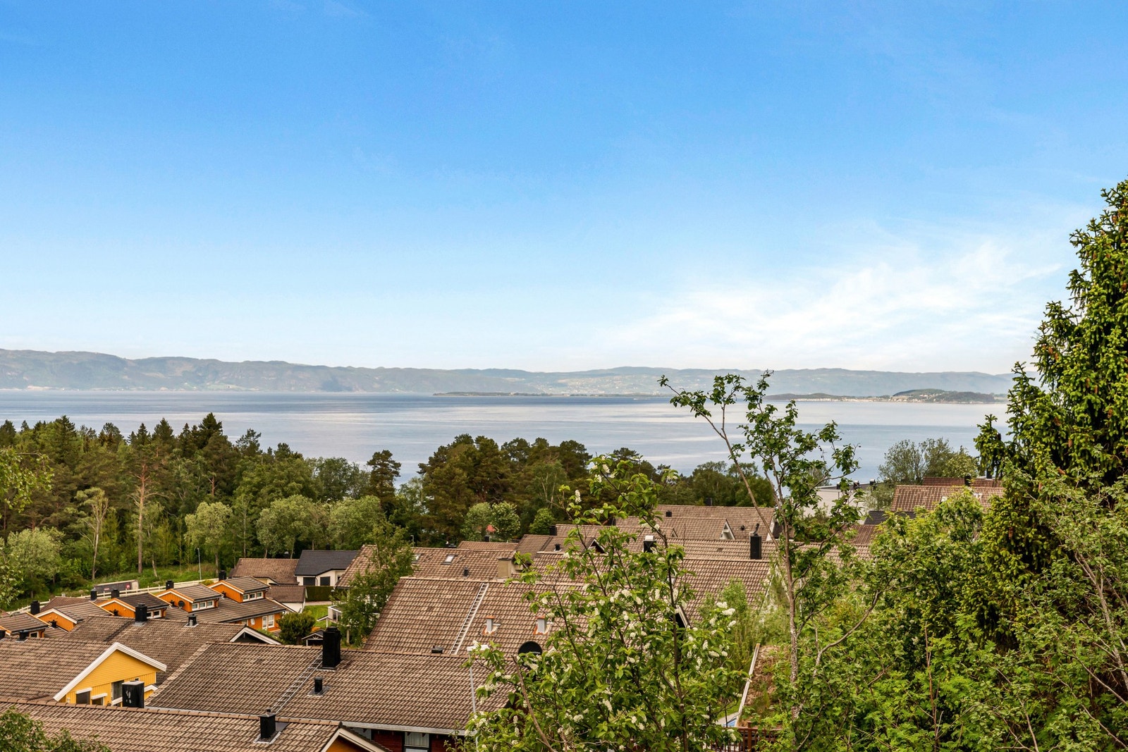 Utsiktbilde. Galleribilde