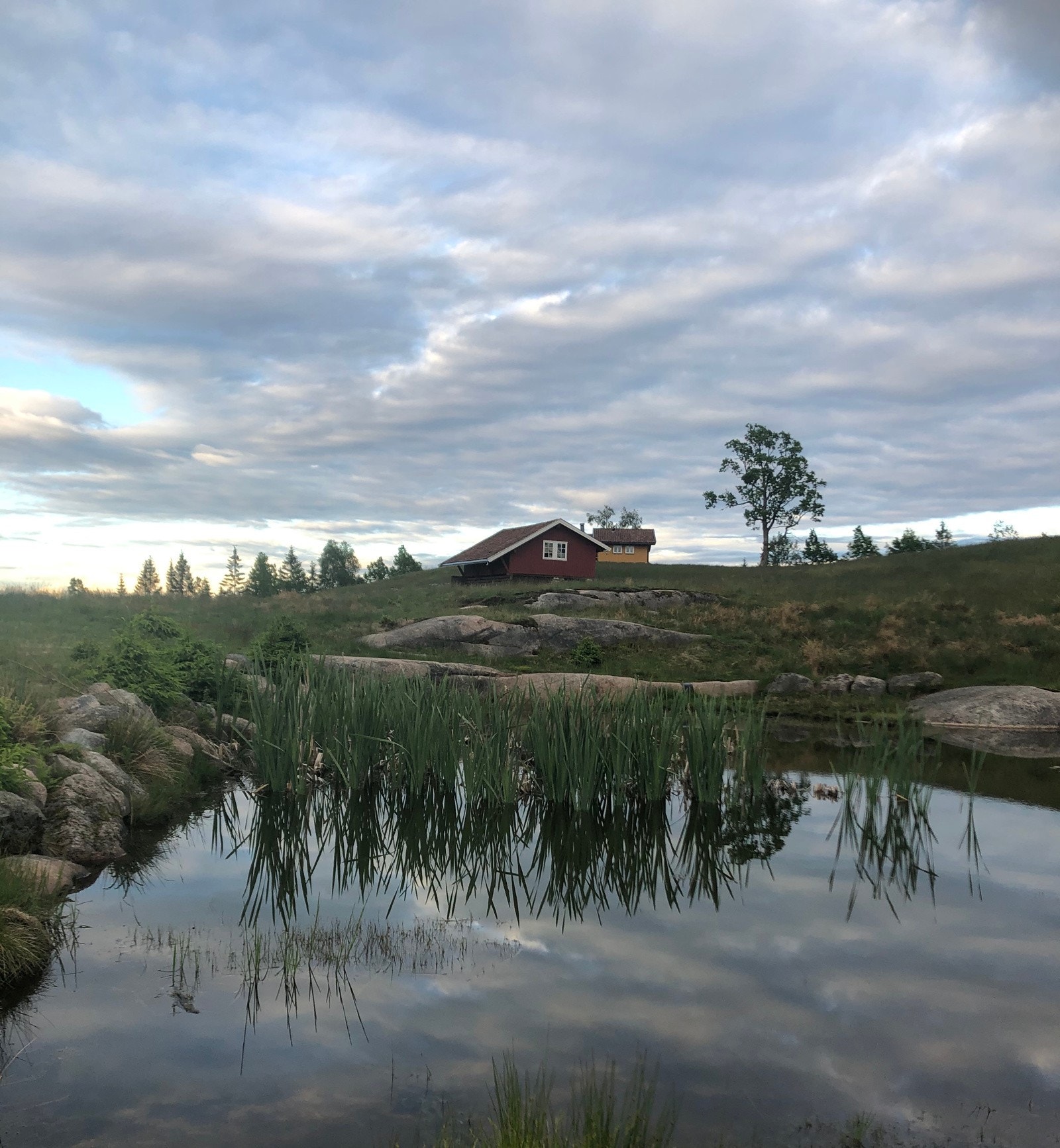 Bjønnåsen - Hurummarka Galleribilde