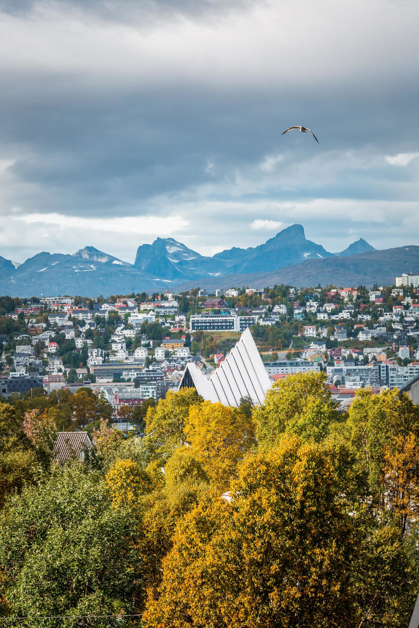Boligen er sentralt beliggende i Tromsdalen med kort vei til dagligvare, barnehage, skoler og Tuil arena m.m.