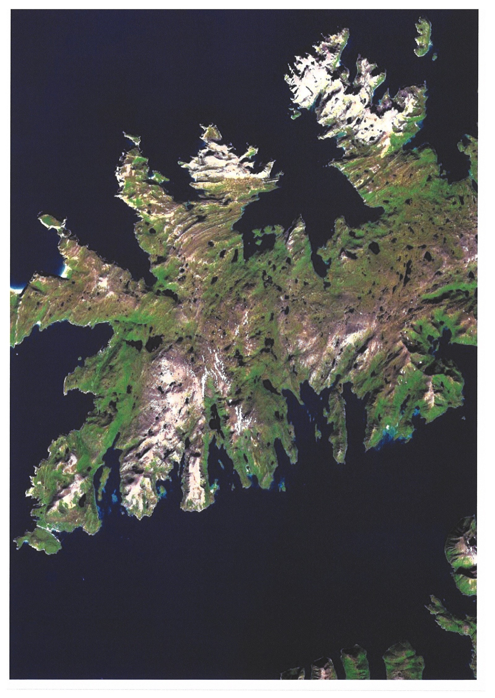 Et lite stykke Sørøya Galleribilde