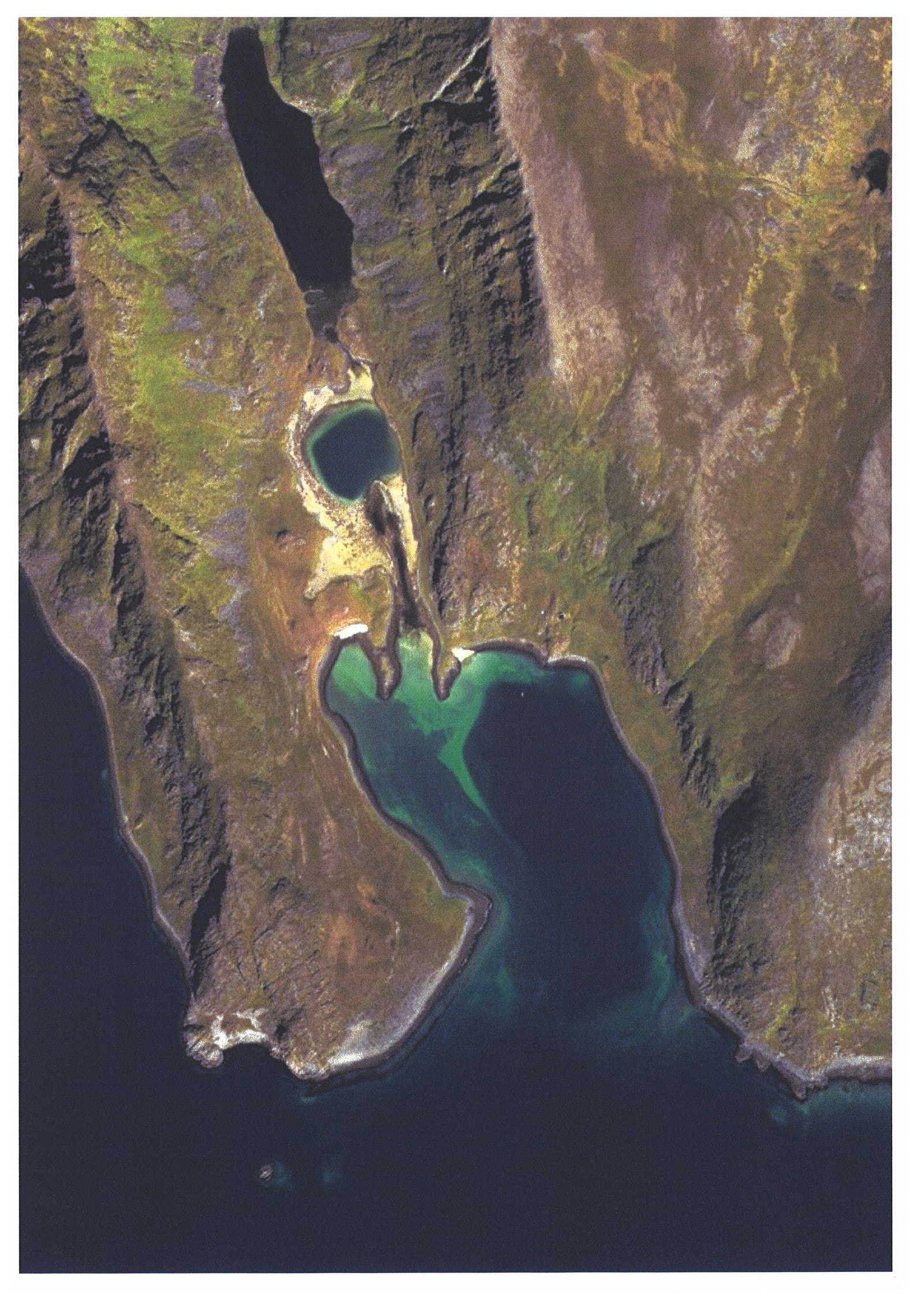 Et lite stykke Sørøya Galleribilde