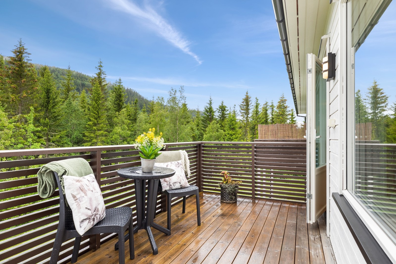 På verandaen kan man nyte roen til synet av vakre, grønnkledde åskammer. Galleribilde