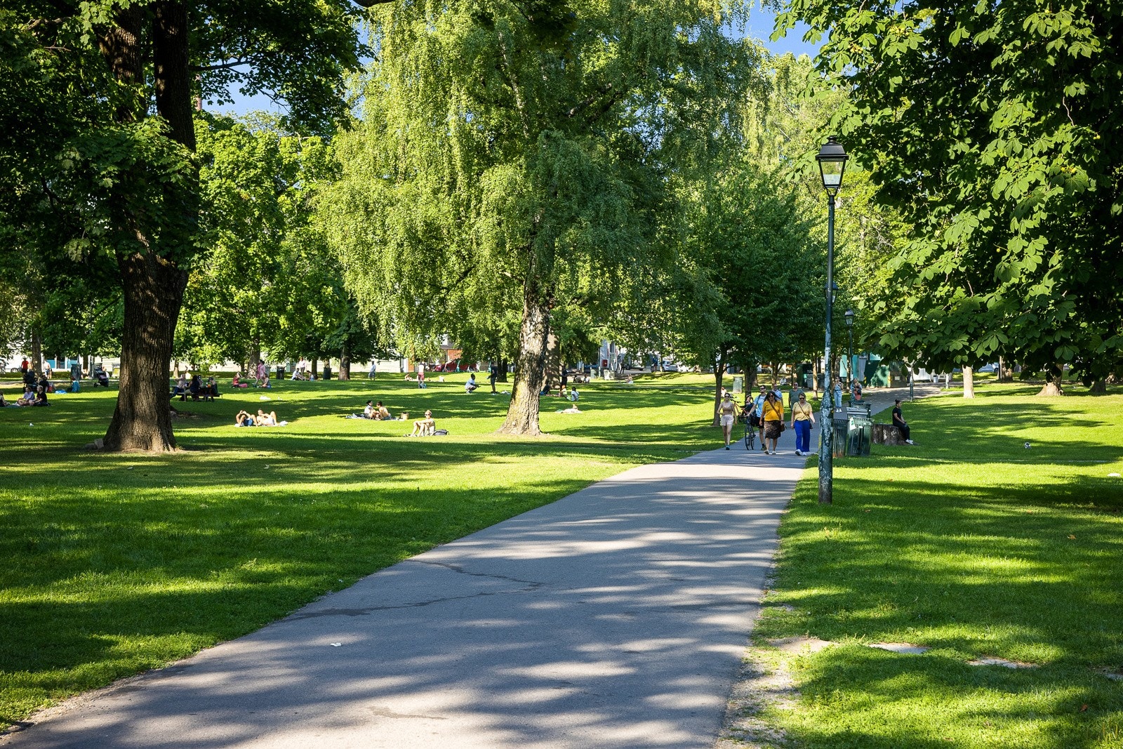 Sofienbergparken ligger like ved leiligheten og er en populær park blant beboerne i området Galleribilde
