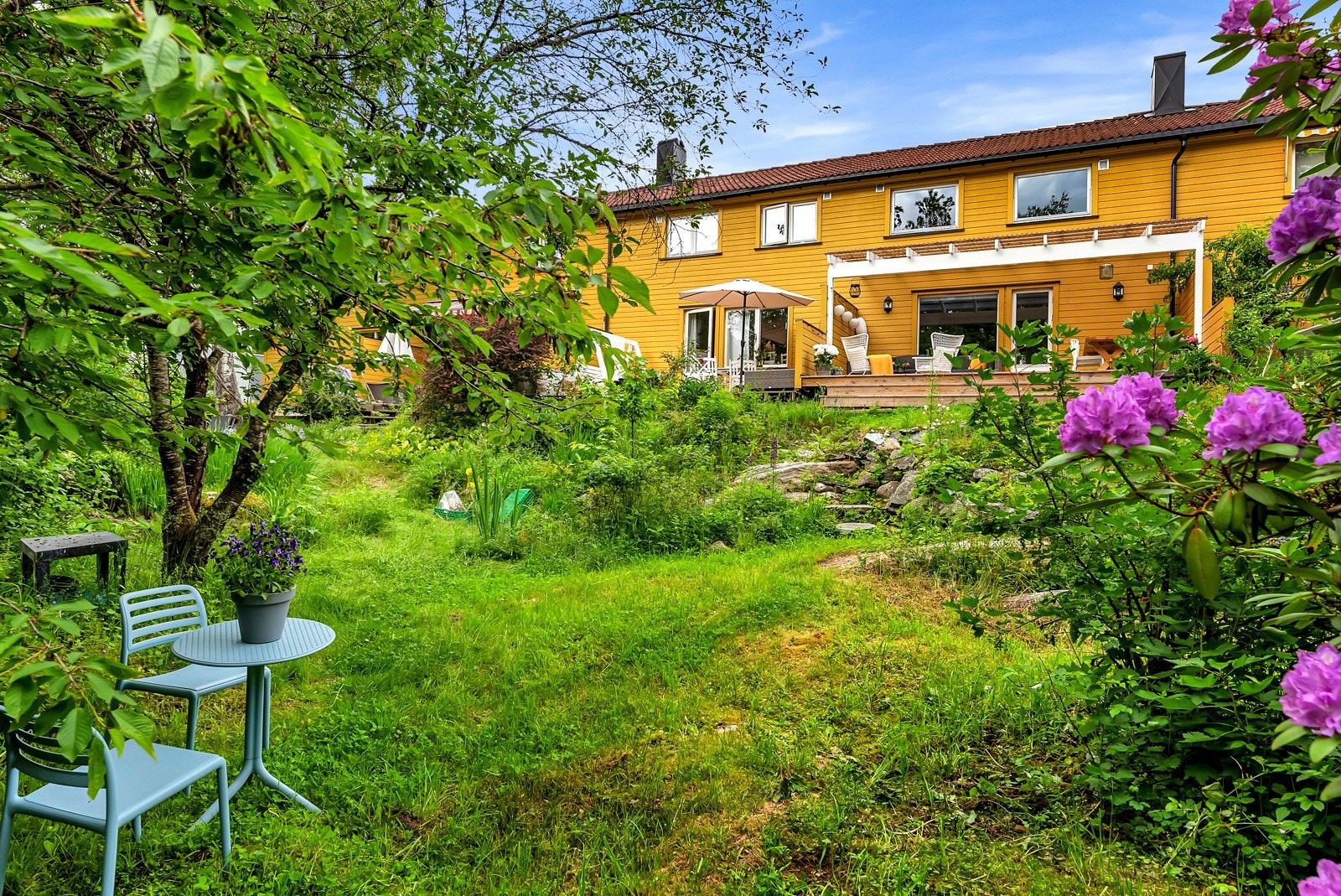 Fra terrassen er det utiskt over grønt og frodig friområde. Galleribilde