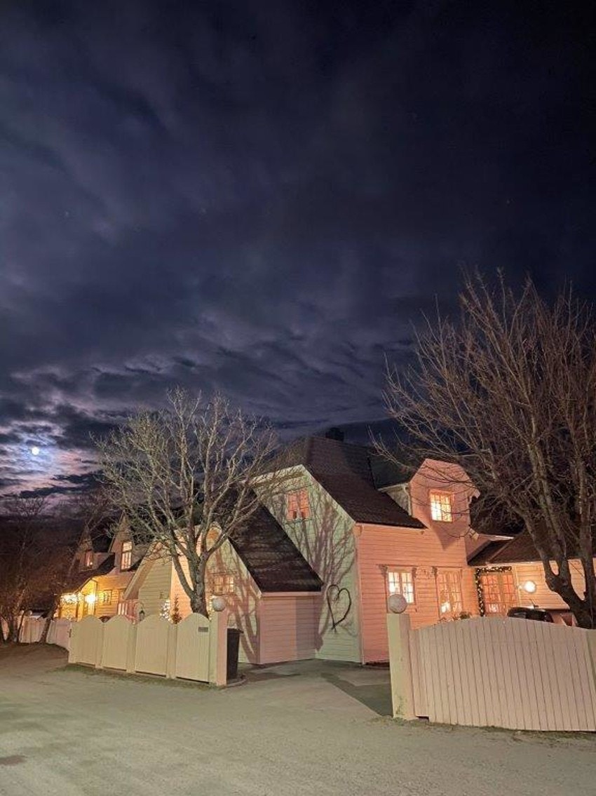 Villaen har karikaristiske trekk fra Jugendstilen, og er et smykke i bybilde både sommer som vinter. Galleribilde