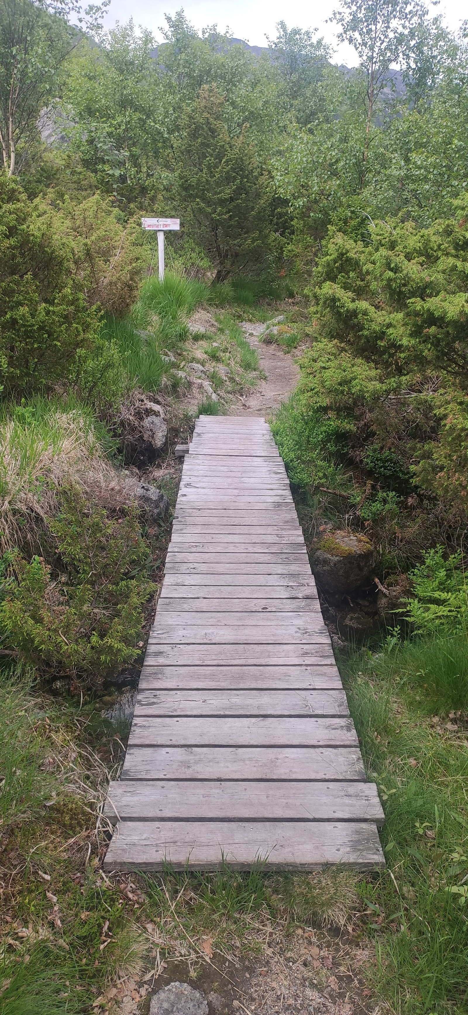 Utallige merkede turstier både rundt vannet og i fjellene i umiddelbar nærhet. Galleribilde