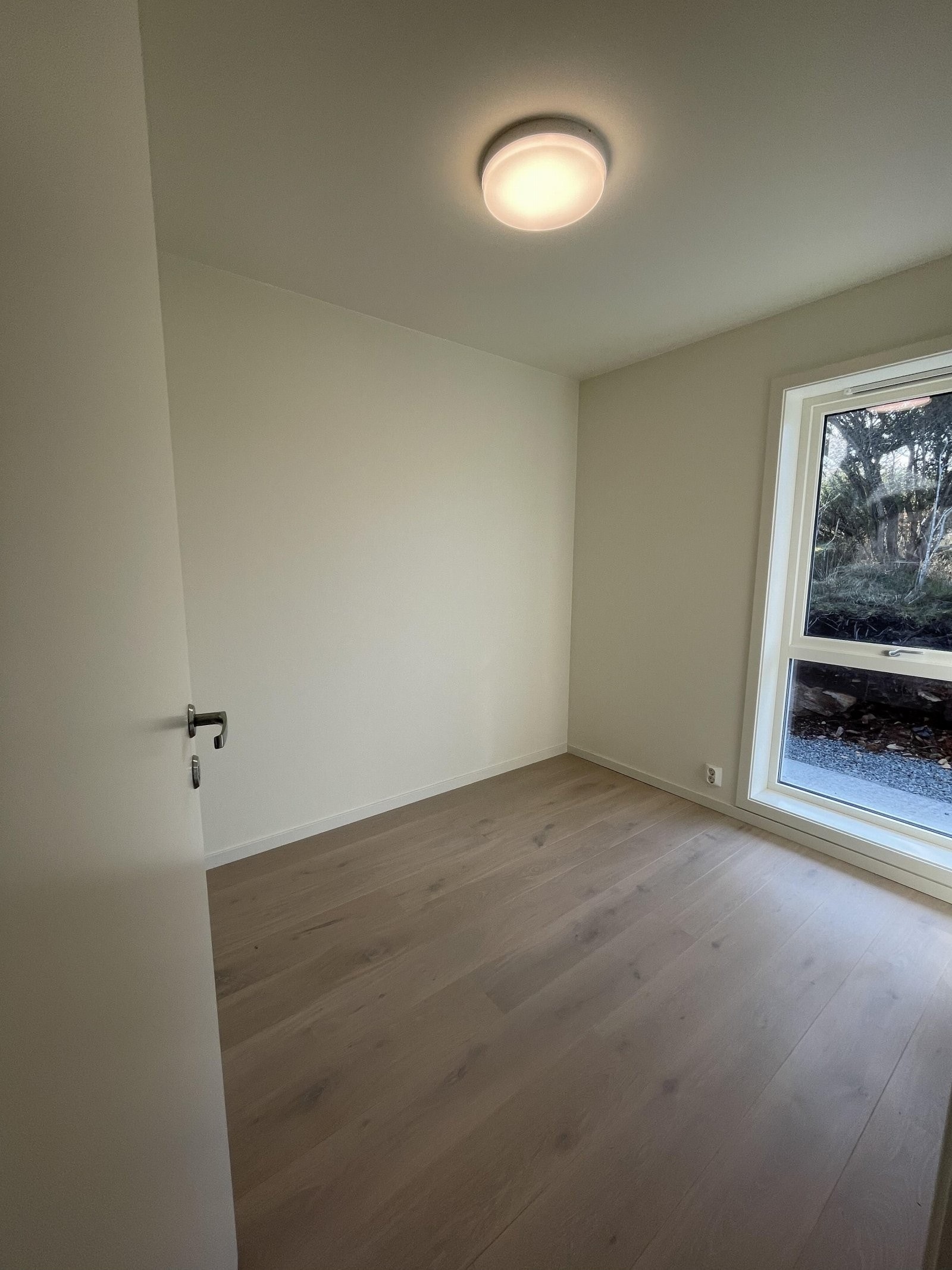 IMG_7537 Galleribilde