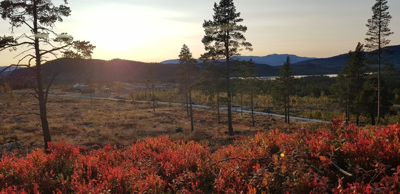 Fra Robølshøvda (Bildet hentet fra www.robølshøvda.no) Galleribilde