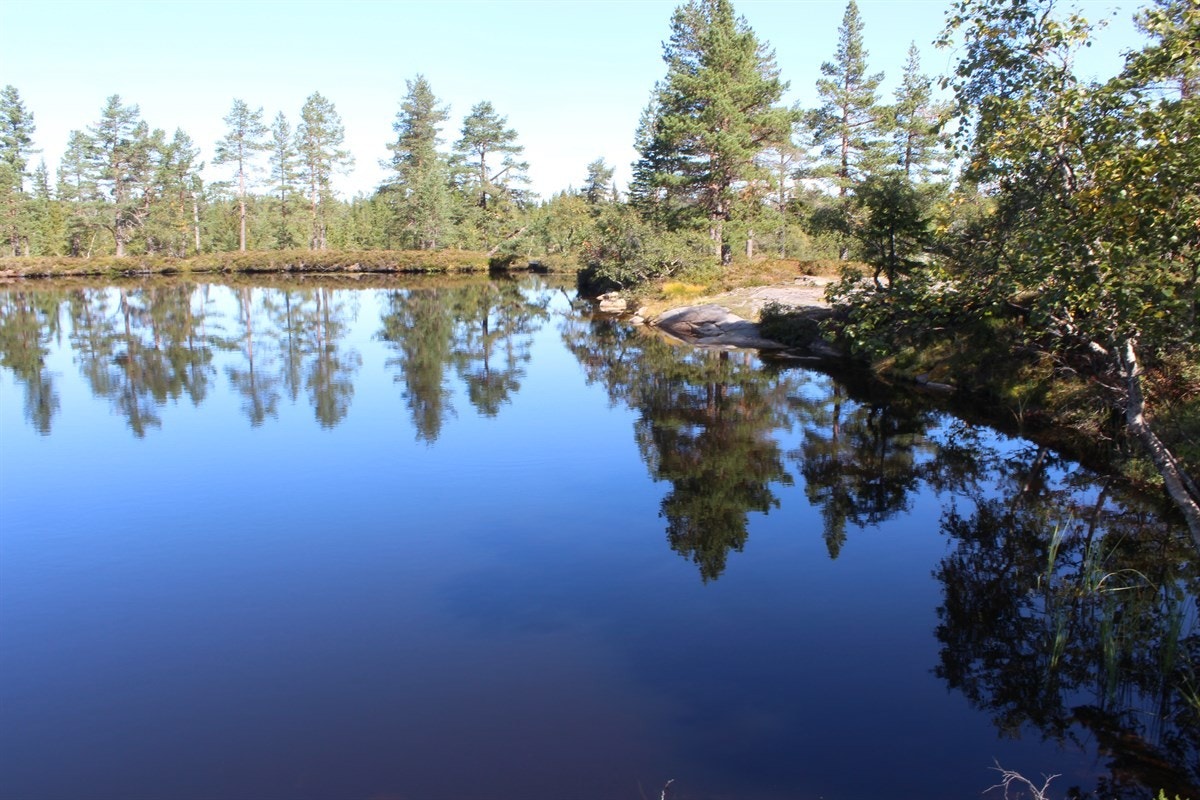Områdebilde fra Skrim Galleribilde