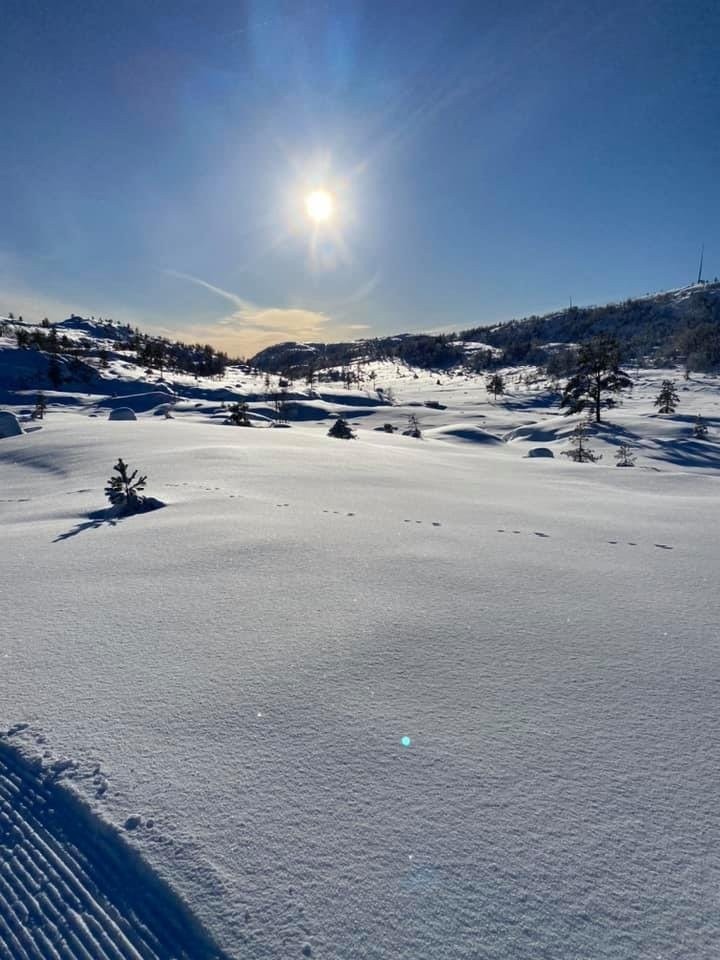 Fantastisk ski og turterreng. Galleribilde