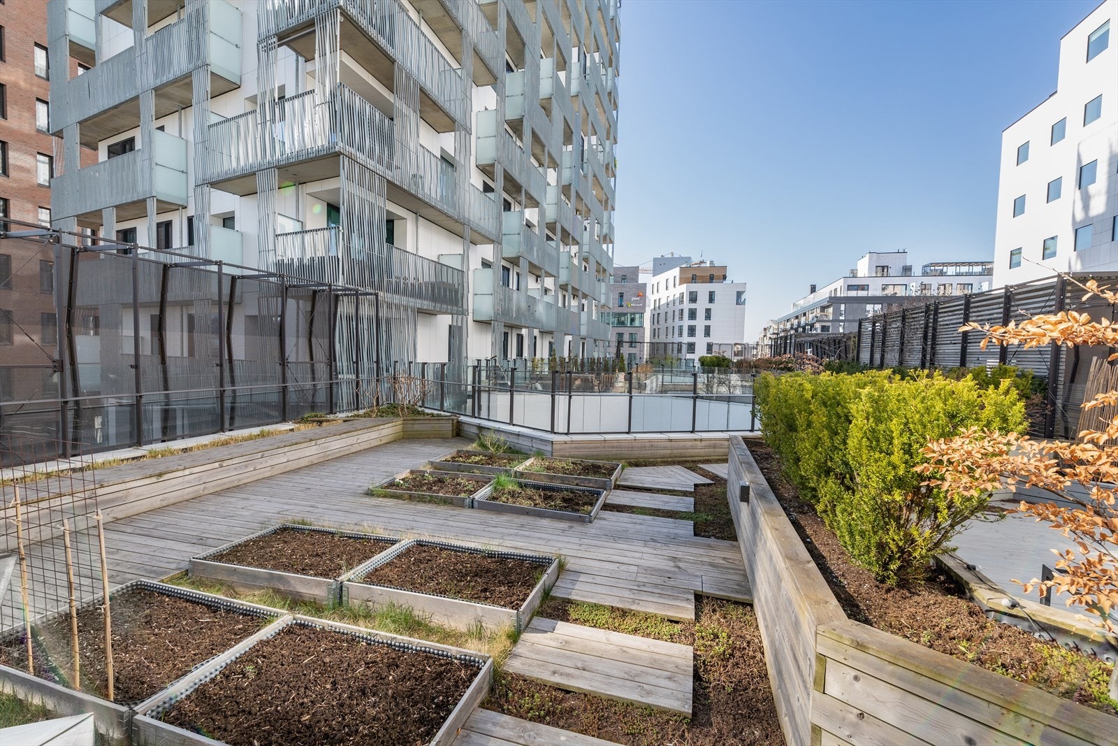 Grønne fingre? Lyst til å dyrke egne grønnsaker? Galleribilde