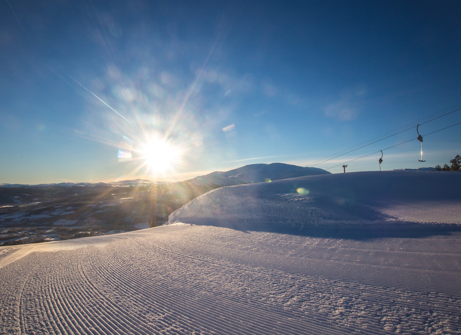 Meråker Alpinsente, din aller nærmeste nabo. Galleribilde