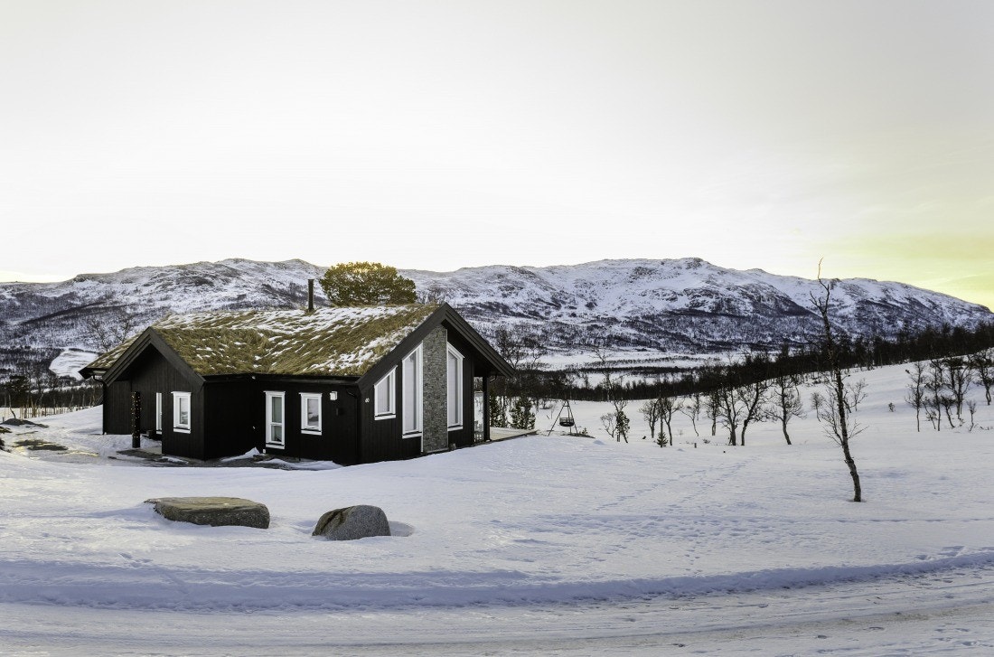 Eksempelfoto av oppført Minilla. Vil avvike fra virkelig miljø og omgivelser. Galleribilde