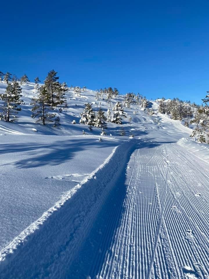 Fine oppkjørte løyper Galleribilde