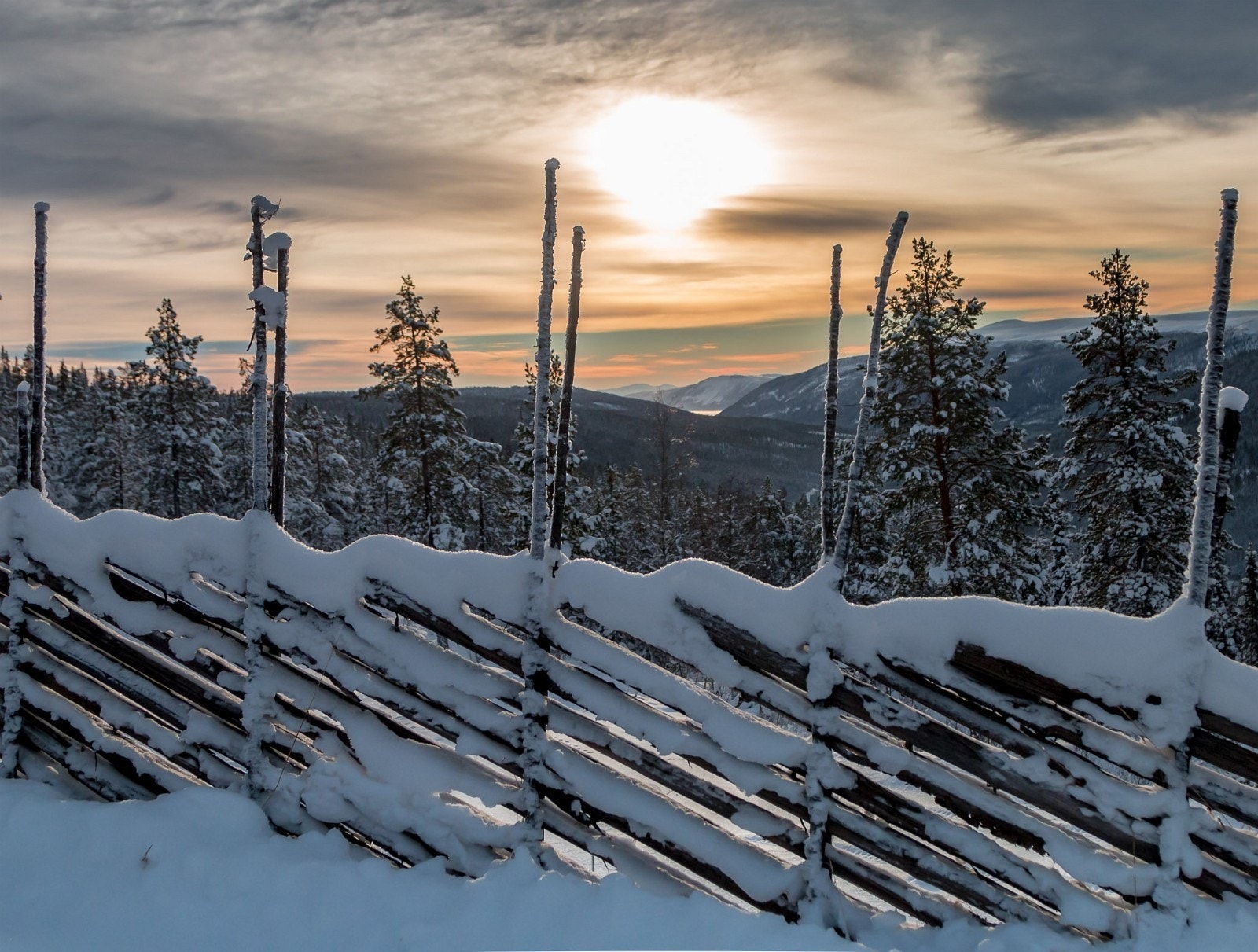 Stemningsbilde fra Solheim Hyttegrend (Orreveien) Galleribilde