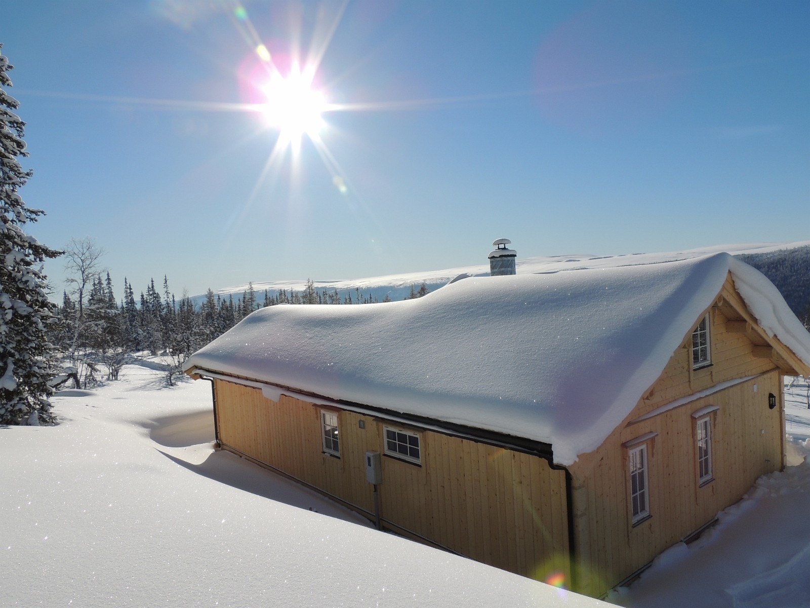 Bilde fra Solheim Hyttegrend Galleribilde