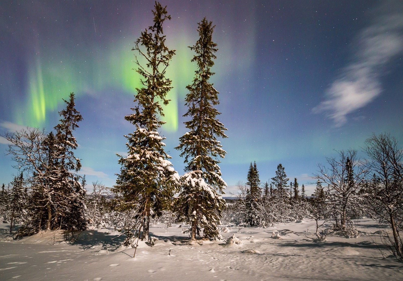 Nordlys sett fra Solheim Hyttegrend. Galleribilde