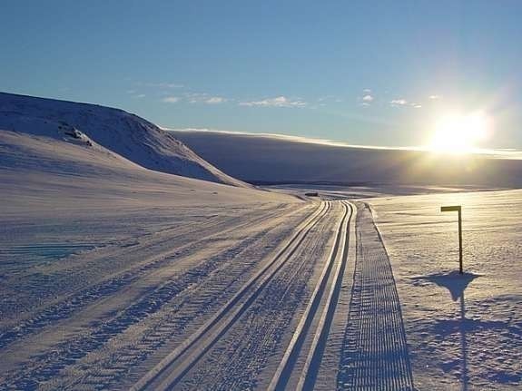 Flotte skiløyper ! Galleribilde