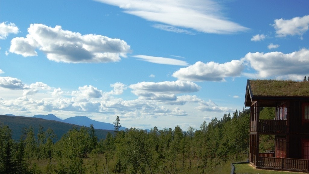 Fra Solheim Hyttegrend! Galleribilde
