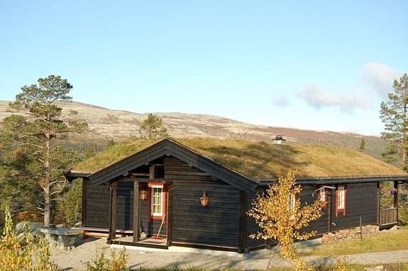 Fra Solheim Hyttegrend! Galleribilde