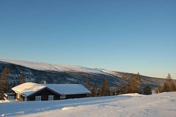 Bilde fra Solheim Hyttegrend Galleribilde