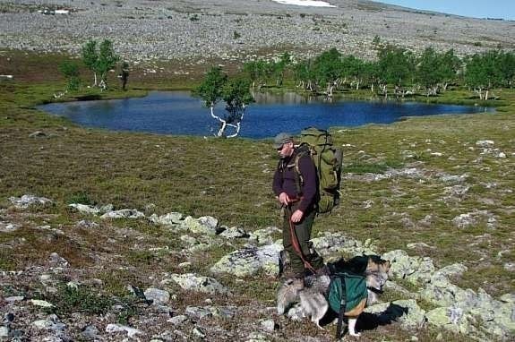 Fottur i Engerdalsfjellene Galleribilde