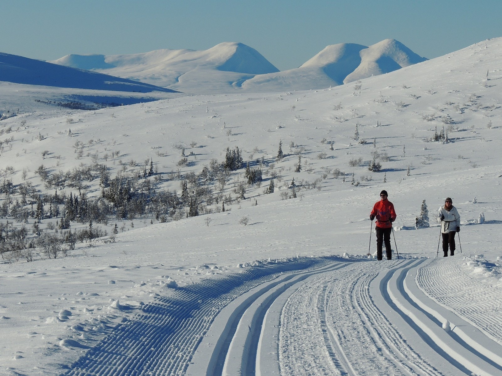 Bilde fra skiløypenettet rett øst for Solheim Hyttegrend. Bildet er tatt ca. 2 kilometer fra tomtene. Galleribilde