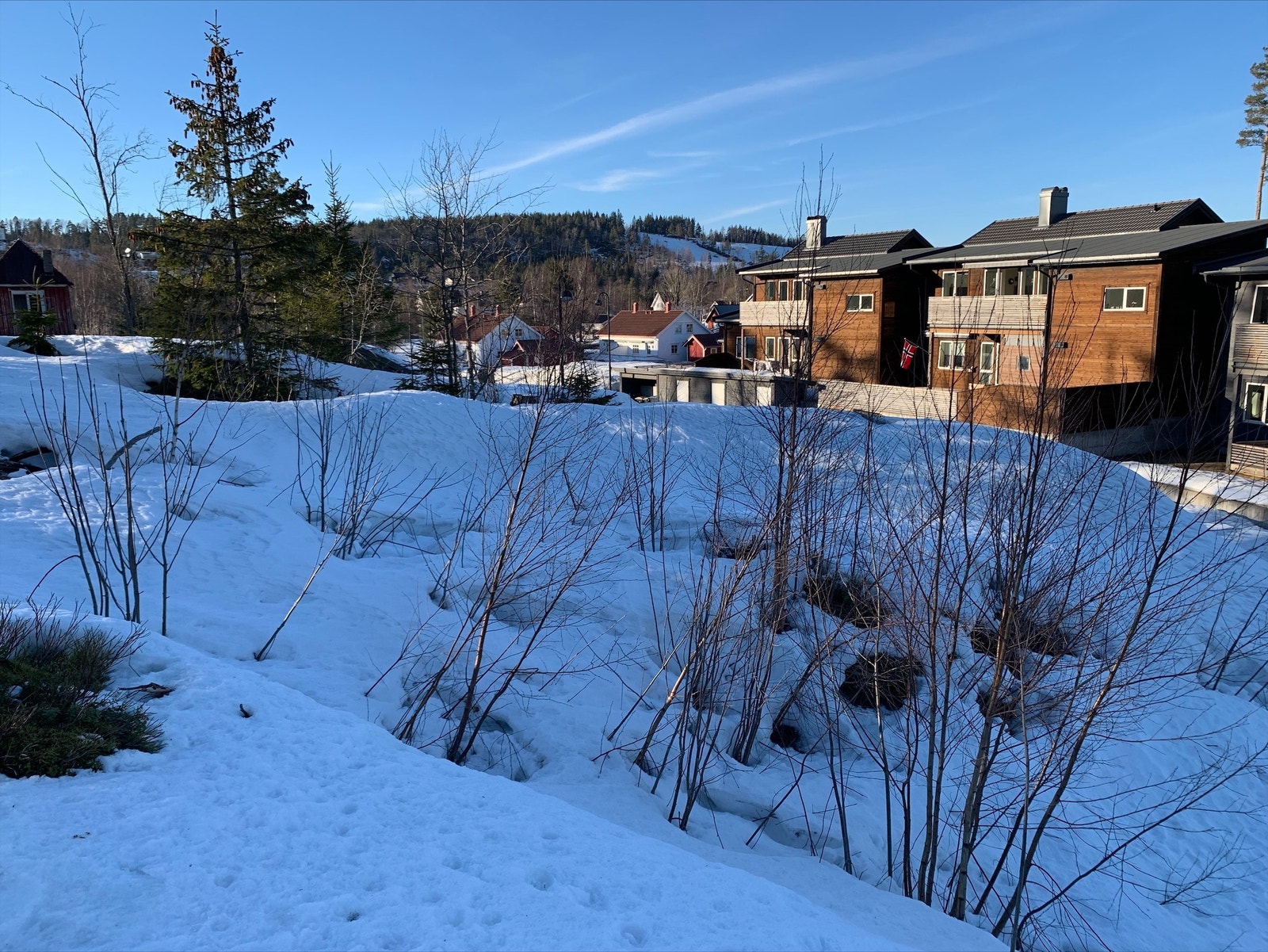 På tomten, mot nord (Hovet 1 og 2) Galleribilde
